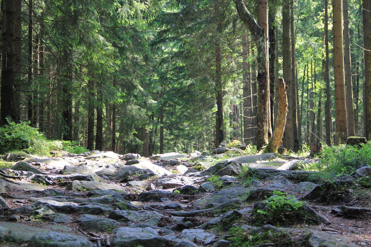 Wohlfuehlort In Der Ferienresidenz Wurmbergblick Braunlage Exterior foto